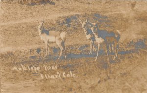 H37/ Elbert Colorado RPPC Postcard 1909 Antelope Wild Mammals Hunting