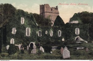 KILLARNEY, Kerry, Ireland, PU-1911; Muckross Abbey