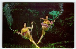 Weeki Wachee Florida Postcard Swimsuit Mermaids Underwater Show Vintage Chrome