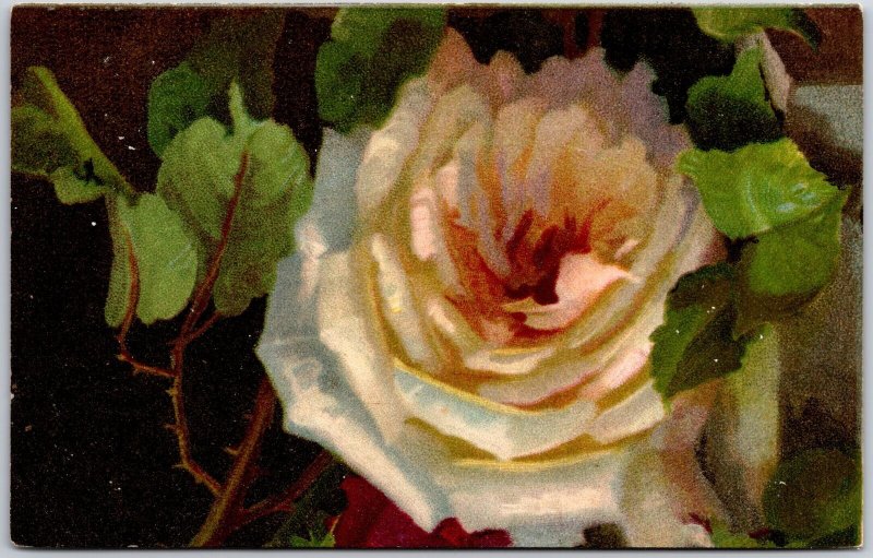 Pink Rose Large Print Flower Birthday Greetings & Wishes Card from PA Postcard