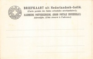 L228 Indonesia Dutch East Indies Preanger Java vintage postcard