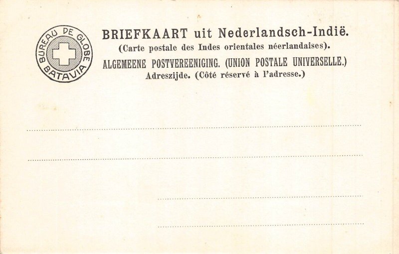 L228 Indonesia Dutch East Indies Preanger Java vintage postcard