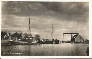 Netherlands Dieren Kanaalgezicht Vintage RPPC 04.09