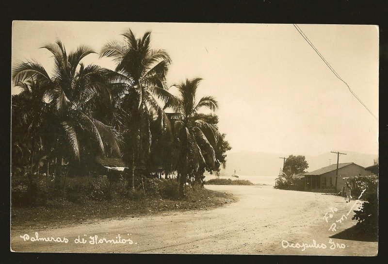 Postmark 1938 Cristobal Canal Zone Aboard SS Virginia Palm Trees Photo Postcard