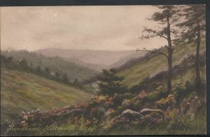 Surrey Postcard - Hindhead, Nutcombe Valley    MB2020