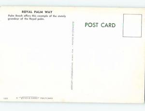 Unused Pre-1980 STREET SCENE Palm Beach Florida FL hp1765