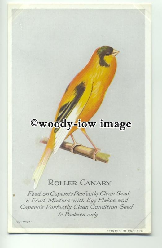 an0222 - Roller Canary selling Caperns Perfectly Clean Seed, Postcard Plain Back