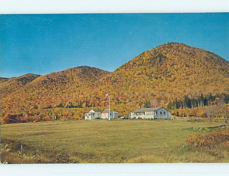 Unused Pre-1980 TOWN VIEW SCENE Cape Breton Nova Scotia NS p8030