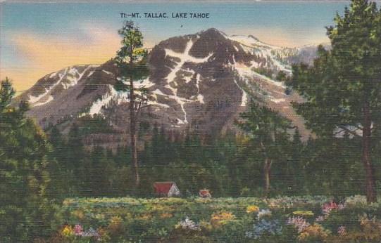 California Lake Tahoe Mount Tallac 1945