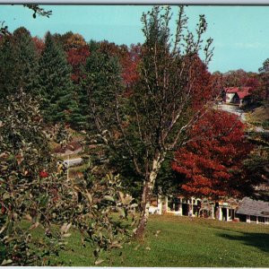 c1960s Little Switzerland, NC Blue Ridge Parkway Birds Eye Farm Store PC A240