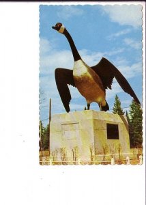 Canada Goose, Wawa, Ontario,