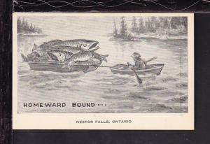 Homeward Bound,Exaggerated Fish Postcard 