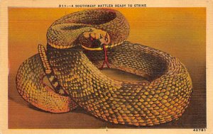 Southwest Rattler Reptile Unused 