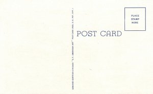 Big Blue River Milford Nebraska NB Tree Lined Landscape Vintage Postcard