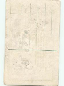 Divided-Back BIRDS SCENE Pretty Postcard AA8769