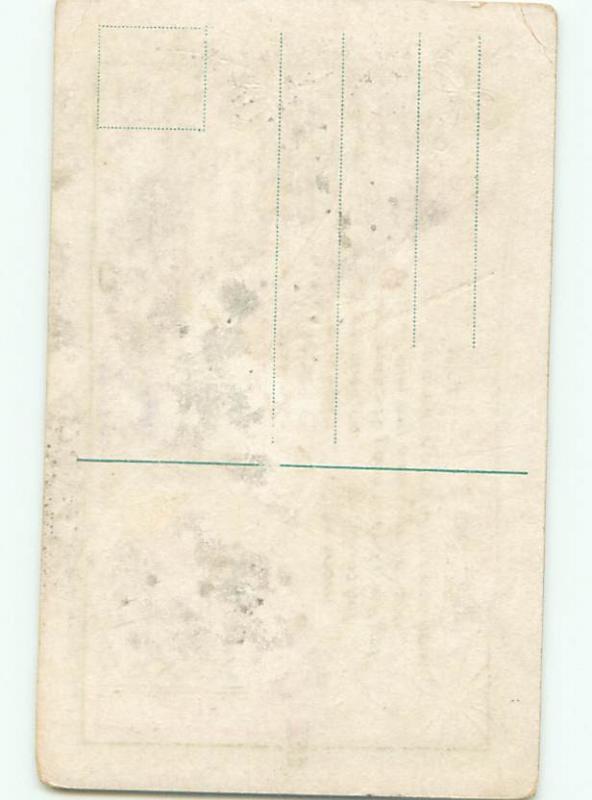 Divided-Back BIRDS SCENE Pretty Postcard AA8769