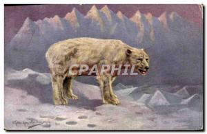 Old Postcard Polar Bear