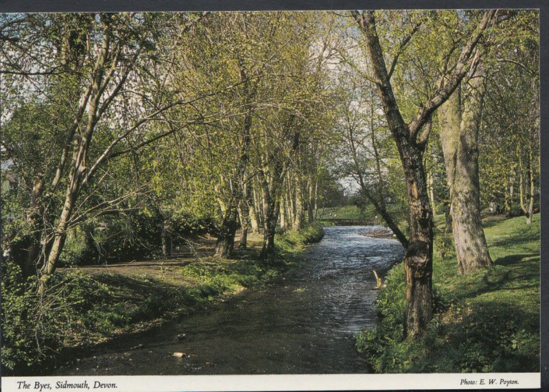 Devon Postcard - The Byes, Sidmouth    RR2872