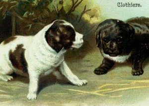 1880's Embossed Marshall & Ball Clothiers Adorable Chubby Puppies P159