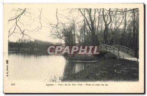 Old Postcard Lyon Parc de la Tete Gold Bridge and Corner Lake