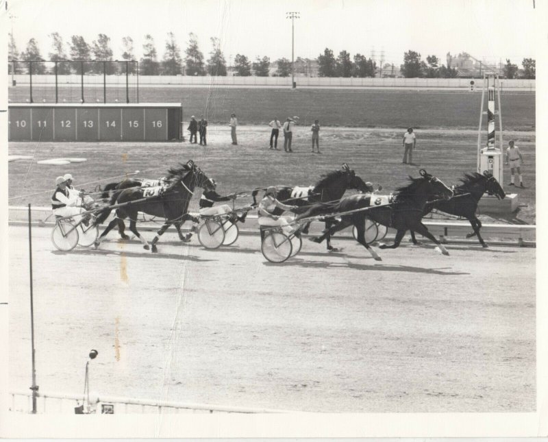 CHRISTCHURCH, New Zealand, Addington Raceway Harness Racing, LUNAR CHANCE wins