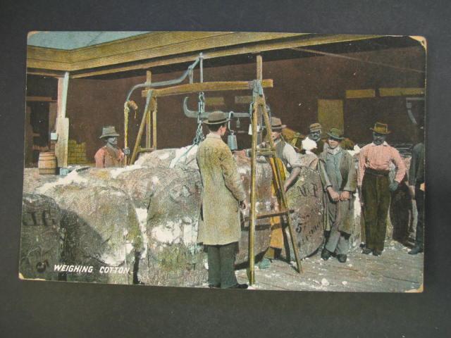 WEIGHING COTTON IN THE SOUTH c1910 Postcard GREAT SCENE