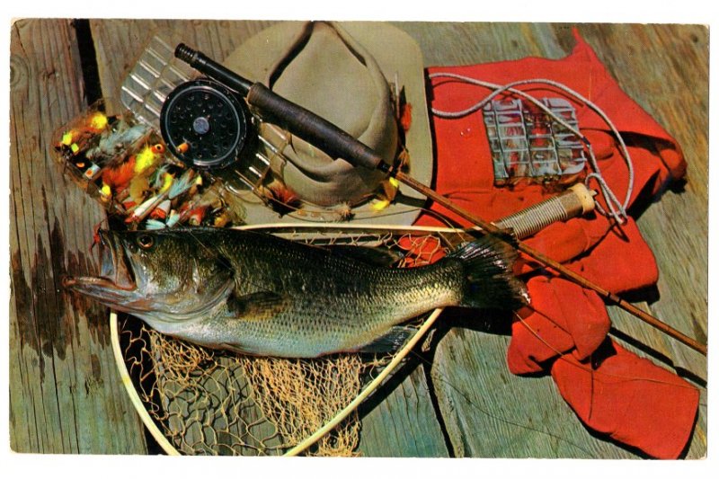 OVERSIZE, Fisherman's Dream, Fish with Rod and Flies  5.5 X 9 inches