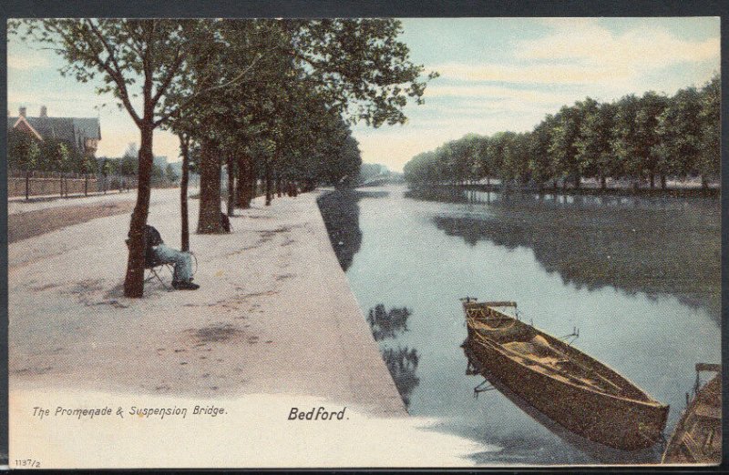 Bedfordshire Postcard - The Promenade & Suspension Bridge, Bedford    T2156