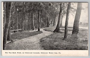 Delaware Water Gap Pennsylvania Tan Bark Walk Glendwood Grounds Postcard B28