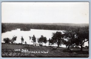 1920-30's RPPC LONG POND NORTHWOOD NEW HAMPSHIRE COWS REAL PHOTO POSTCARD