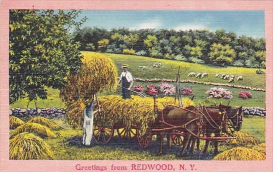 Greetings From Redwood New York 1959