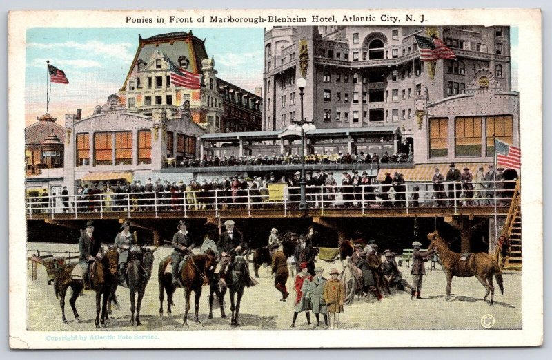 Ponies In Front Of Marlborough Blenheim Hotel Atlantic City New Jersey Postcard