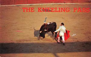 Bullfighting  