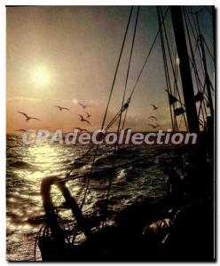 Postcard Modern Fishing In The Sea Cossec Lumiere De France
