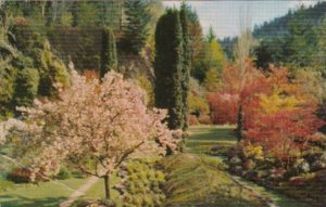 Canada Spring Time In Butchart Gardens Victoria British Columbia