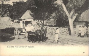 Yucatan Mexico MX Hacienda San Bernardo Horse and Carriage c1910 Postcard