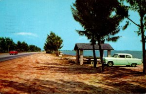 Florida Tampa Courtney Campbell Parkway Roadside Picnic Table 1959