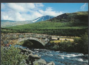 Norway Postcard - Anfin's Bridge, Dovrefjell Mountain Plateau T956
