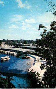 Florida Silver Springs Aerial View