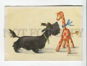 473520 Germany Susanne scotch terrier dog and toy giraffe old postcard