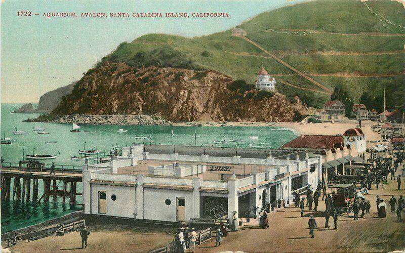 Aquarium Avalon Santa Catalina Island California 1909 Postcard Mitchell 1446 