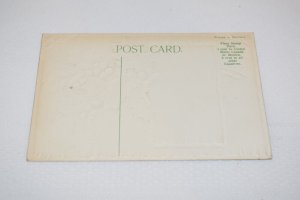 Christmas Greetings Holly Postcard Printed in Germany