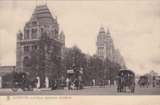 England London Natural History Museum Tucks