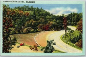 Vtg Scenic Greetings From Redding California 1940s Linen View Postcard