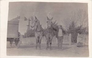 Man Standing With Horses Real Photo