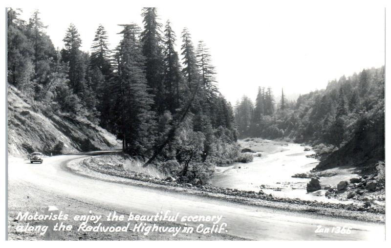 RPPC Driving on California's Redwood Highway Real Photo Postcard c. 1939-1950