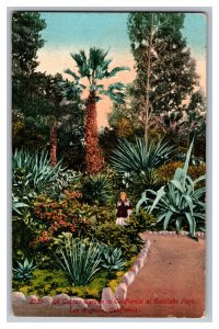 Postcard CA Cactus Garden Eastlake Park Los Angeles California