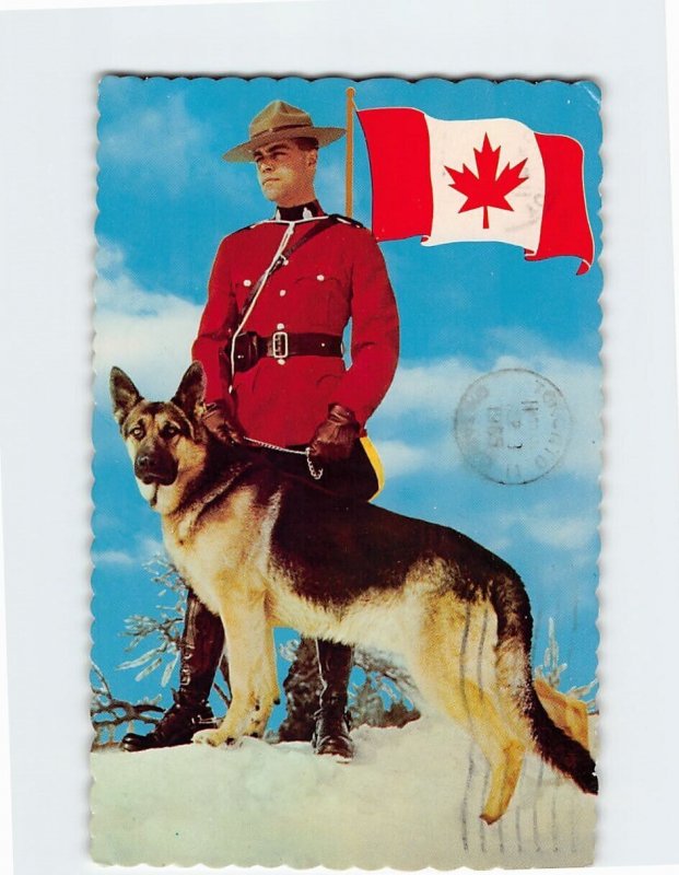 Postcard Royal Canadian Mounted Policeman with dog, Canada