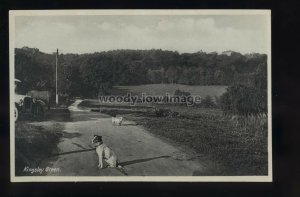 TQ3408 - Sussex - An early view of a Farm in Kingsley Green Village - postcard