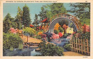 Golden Gate Park San Francisco California Postcard